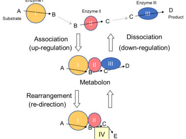 Metabolon